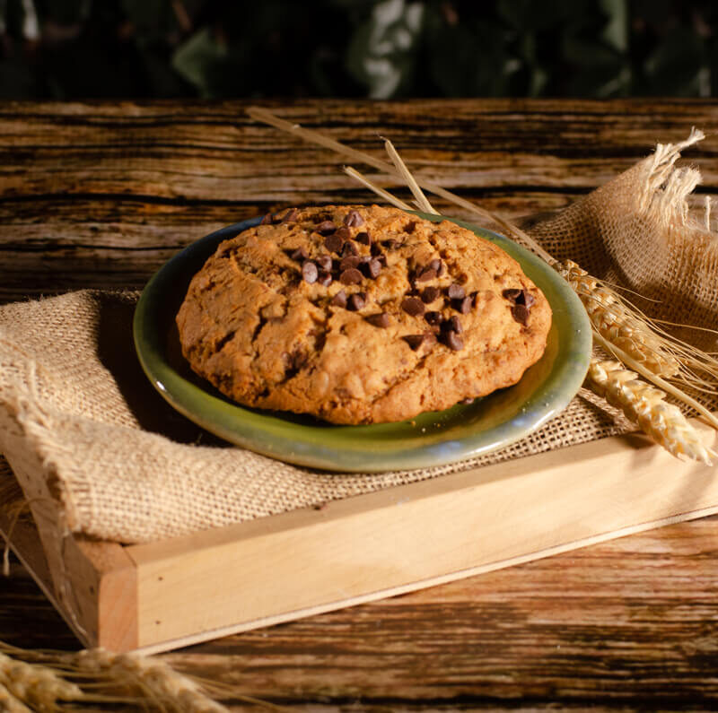 Galleta de avena